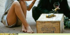 Jane Doodall & Dian Fossey: Unter wilden Menschenaffen